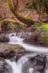 Treja river, Mazzano romano, Rome, italy