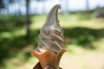 Naklejka premium 美味しいソフトクリーム