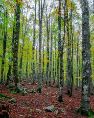 Obraz premium forca d'acero, national park of abruzzo, lazio e molise, Abruzzo, italy