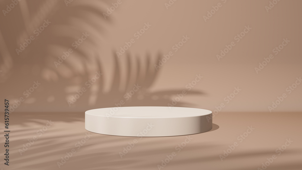Poster artistic shadow from the window. 3d empty pedestal. presentation commercial product, mockup scene. 3