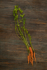 bunch of carrots on wooden background