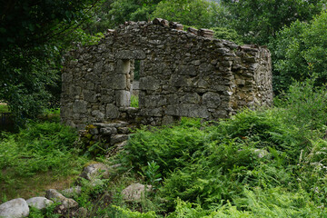 Ruins of traditional stone house  with missing roof surrounded with green vegetation

