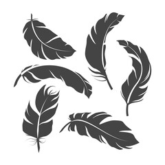 feather silhouette set vector illustration design © Kitypaws design