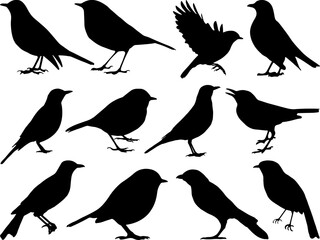 Set of Robin Birds Silhouette