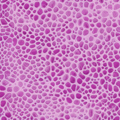 Wild purple animal skin pattern. Animal skins wallpaper abstract blue pattern. Animal skin texture.