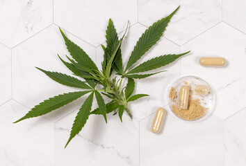 Capsules with hemp protein powder near green cannabis leaves. Alternative medicine