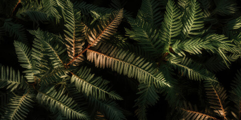Fototapeta na wymiar Closeup of branches evergreen trees leaf. Macro Shoot. Dark green branches.Nature forest background. wallpaper. leaf texture.Generative ai