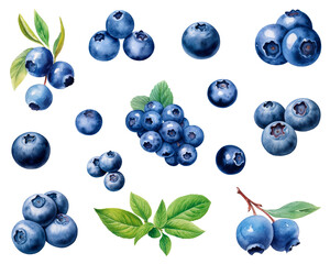 Watercolor painting of a Blueberry fruit set isolated on white background. Cut out PNG illustration on transparent background. AI Generative.