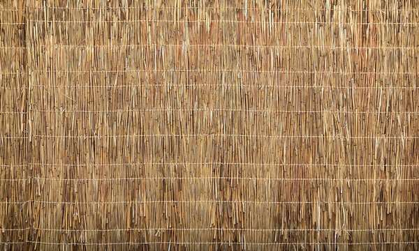Bamboo abstract background. Straw wall. Thatched wooden surface texture.