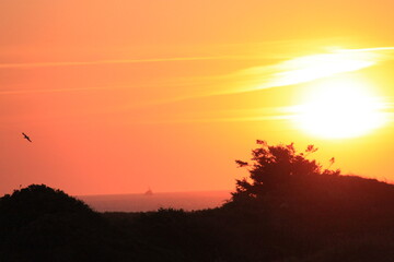 at the sea the red-golden sun shines out from behind the clouds before it sets