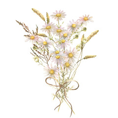 Watercolor bouquet of wildflowers, chamomile and spikelets tied with a bow isolated on a white background. Perfect for decorating wedding invitations, packages, cards.