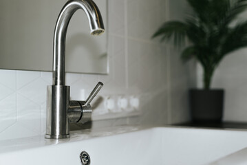 Faucet with sink, bathroom interior with indoor plant