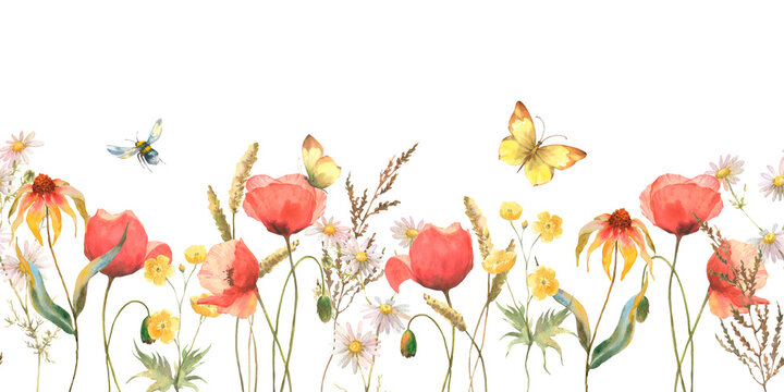 Seamless border with Herbs and wild flowers poppy and echinacea, leaves, butterflies. Botanical Illustration on white background. Template with place for text.