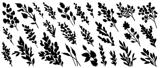 Branches sketch set. Hand drawn graphic plants. Vector illustration of different branches isolated on white background