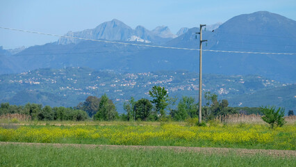 Fototapeta na wymiar Toskana in Italien mit Stromleitung