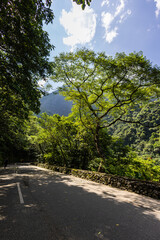 Fototapeta na wymiar Shakadang hiking trail at the Taroko National Park Taiwan. The protected mountain forest landscape named after the landmark Taroko Gorge, carved by the Liwu River. Taiwan natural wonders and heritage.