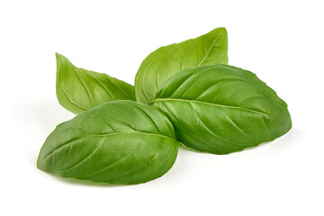 Basil leaves, close-up, isolated on white background.