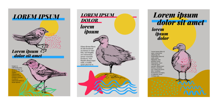 P&aacute;jaros. Conjunto de carteles vectoriales con aves. Dise&ntilde;o con ilustraci&oacute;n para el verano, Gaviotas, estrellas de mar, olas... Im&aacute;genes de fondo para portada, banner, p&oacute;ster. Estampado de camiseta.