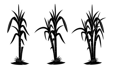 silhouette of sugarcane set