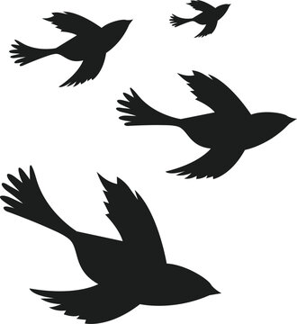 Flying birds silhouette icon, Vector, Vector silhouette flying birds, Vector Collection of Bird Silhouettes. Note: Editable