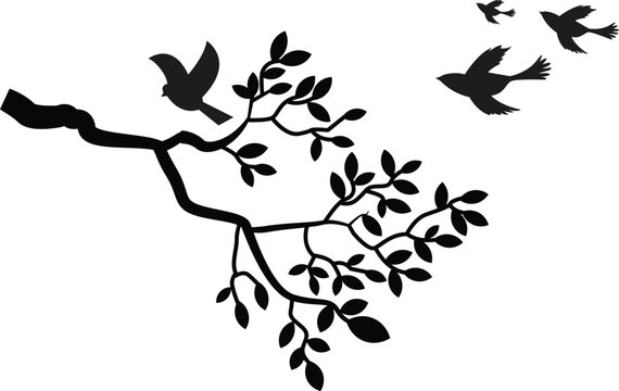 Tree branch with leaves, birds perched and flying with black and white silhouette 