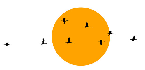 Wildgänse Kraniche Vögel. Wildgänse im Frühling und Herbst.