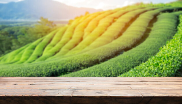 Fototapeta Wooden table top on blur green tea mountain and grass field. Fresh and Relax concept. For montage product display or design key visual layout. View of copy space.