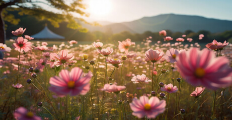 pink violet nature meadow blooming flower background color beautiful sunset field. Generative AI.