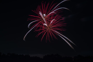 fireworks in the sky