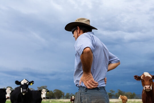 Aussie farmer with hands on hips looking out at cattle in paddock with dramatic storm clouds behind