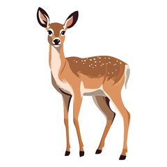 Playful Nature's Companion: Playful 2D Illustration of a Darling White-tailed Deer