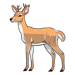 Fototapeta premium Playful Nature's Companion: Playful 2D Illustration of a Darling White-tailed Deer