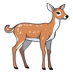 Fototapeta premium Playful Nature's Companion: Playful 2D Illustration of a Darling White-tailed Deer