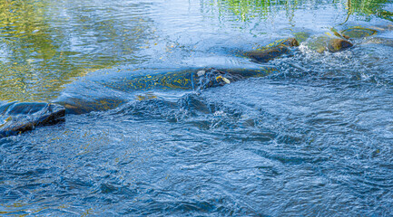 flow of water and spray from a stone