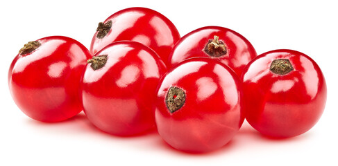 Red currant isolated