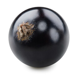 Black currant isolated
