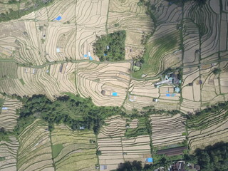 Fototapeta premium Jatiluwih rice fields, Bali, Indonesia. Aerial view.