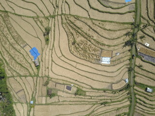 Jatiluwih rice fields, Bali, Indonesia. Aerial view.