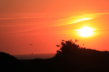 Obraz premium at the sea the red-golden sun shines out from behind the clouds before it sets