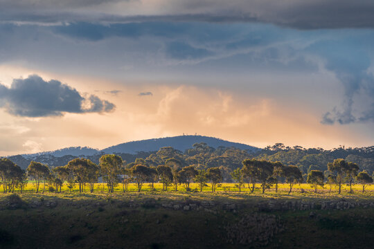Distant view of dramatic lighting and storm clouds over gum trees and hills