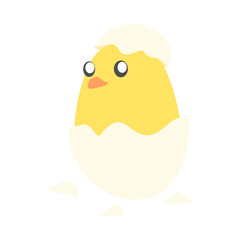 new cute baby chick hatched in cartoon style. isolated on white background. animal, poultry, livestock concept. suitable for children's book illustration, print, sticker, etc. flat vector.