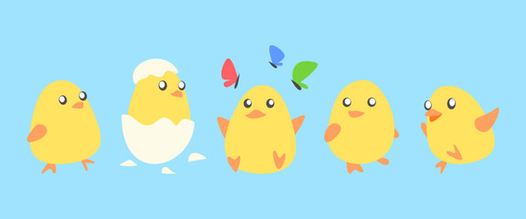 set of baby chicks in cartoon style. isolated on white background. animal, poultry, livestock concept. Perfect for children's book illustration, print, sticker, etc. flat vector.