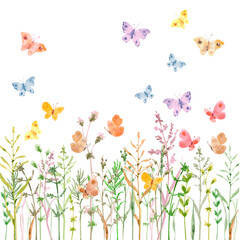 watercolor painting sketch of a herbal field with flying colorfu - 615774657