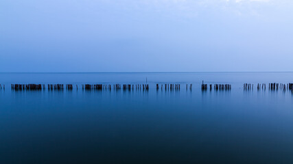 Bamboo embroidery slows down the waves in the sea , Samut Sakhon , Thailand