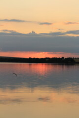 A body of water with a bird flying over it