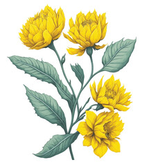cartoon yellow Grandiflora Flower clip art vector illustration