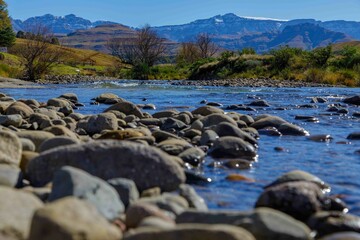Fototapeta premium Serene Riverbank in Untouched Wilderness with Lush Plant Life and Scenic Landscape.