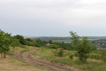 A dirt road with trees and a body of water in the distance