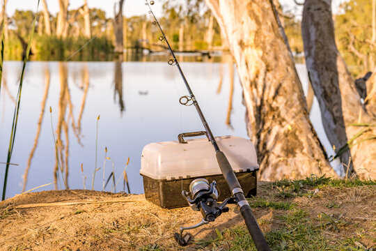 A fishing road and tackle box sitting at the base of a gum tree on a river bank