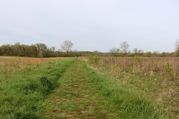 The grass trail in the country field on a sunny day.